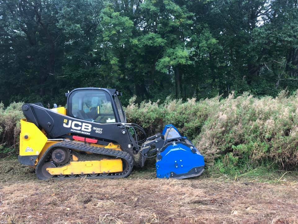 Tree Site Clearance