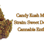 Candy Kush Marijuana Strain