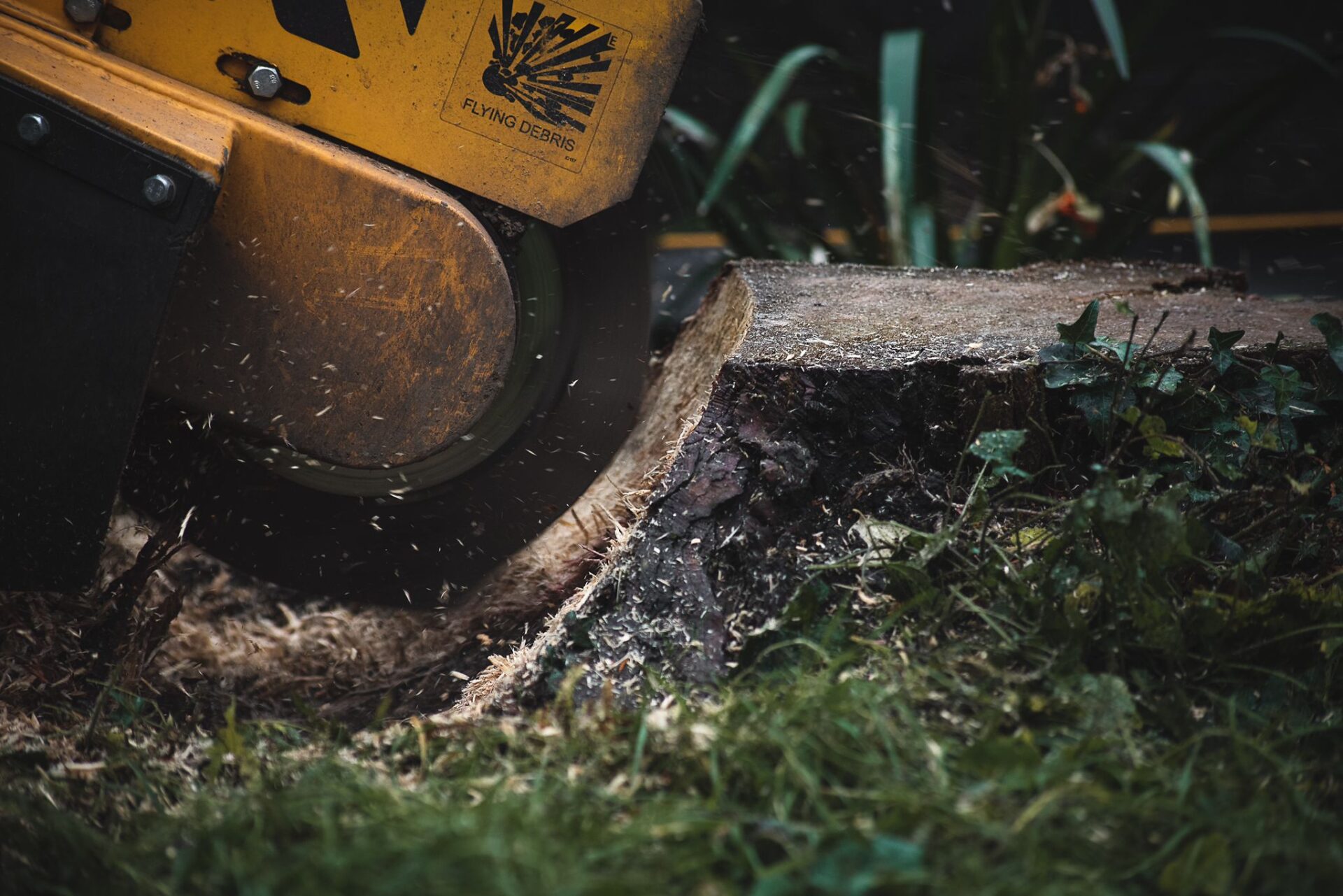 London Stump Grinding