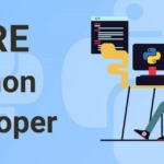 Hire Python Developers in India