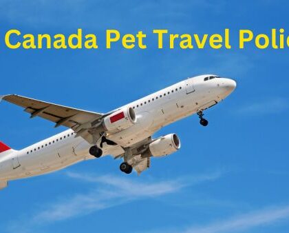 Air Canada Pet Travel Policy