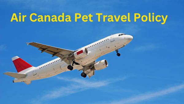 Air Canada Pet Travel Policy