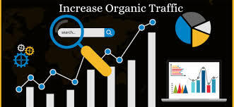 Increase organic traffic in Blackpool