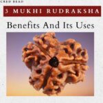 3 Mukhi Rudraksha