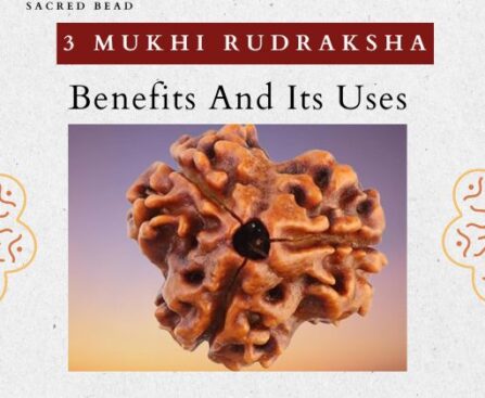 3 Mukhi Rudraksha