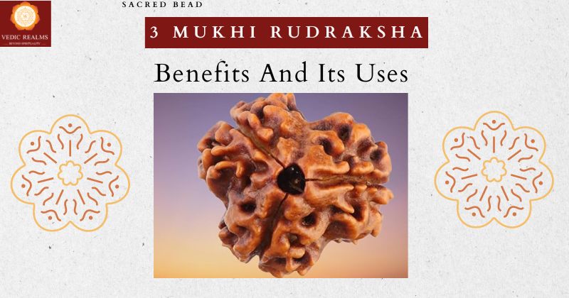 3 Mukhi Rudraksha