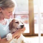 Animals & Pets care in Australia