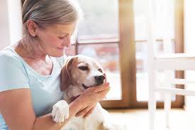 Animals & Pets care in Australia