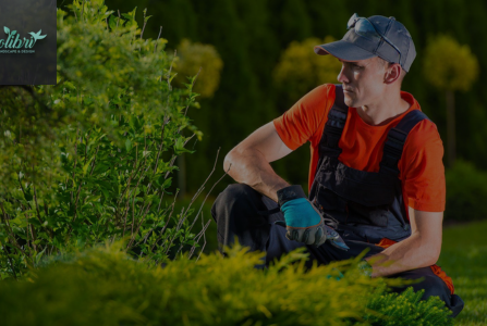 Design Landscape Service in Los Angeles