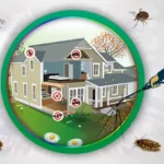 pest control lahore