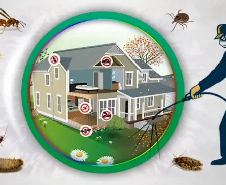 pest control lahore